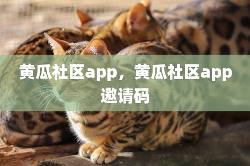黄瓜社区app，黄瓜社区app邀请码