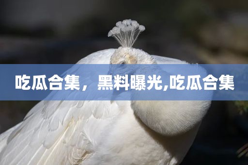 吃瓜合集，黑料曝光,吃瓜合集