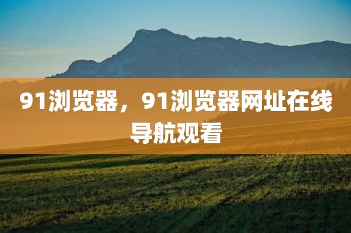 91浏览器，91浏览器网址在线导航观看