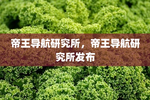 帝王导航研究所，帝王导航研究所发布