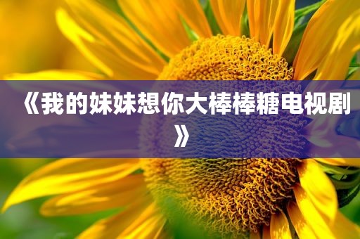 《我的妹妹想你大棒棒糖电视剧》