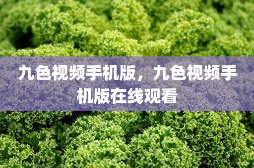 九色视频手机版，九色视频手机版在线观看