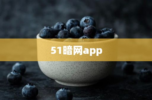 51暗网app