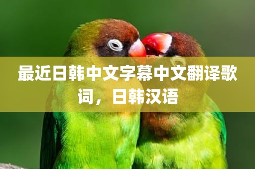 最近日韩中文字幕中文翻译歌词，日韩汉语