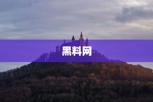 黑料网