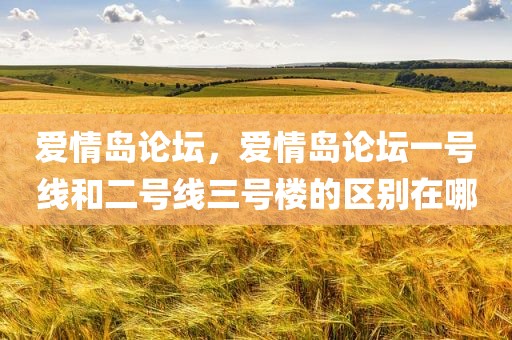 爱情岛论坛，爱情岛论坛一号线和二号线三号楼的区别在哪