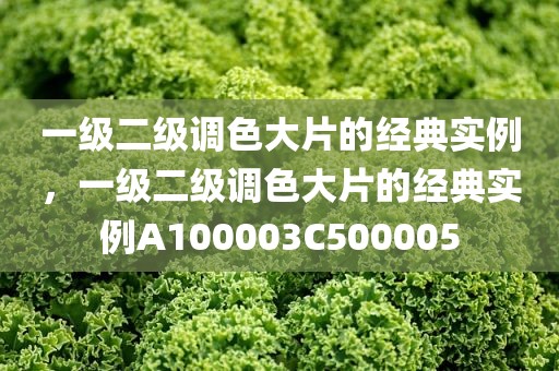 一级二级调色大片的经典实例，一级二级调色大片的经典实例A100003C500005