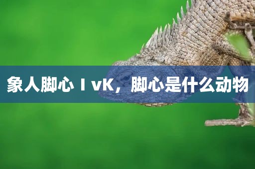 象人脚心ⅠvK，脚心是什么动物