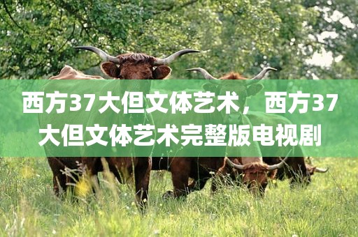 西方37大但文体艺术，西方37大但文体艺术完整版电视剧