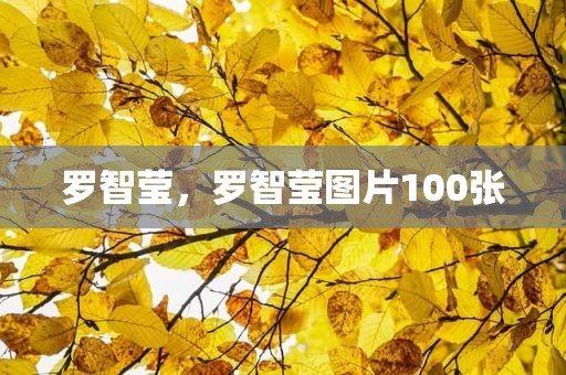 罗智莹，罗智莹图片100张