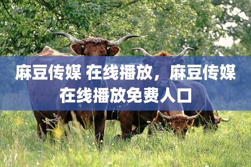 麻豆传媒 在线播放，麻豆传媒在线播放免费人口