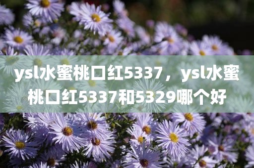 ysl水蜜桃口红5337，ysl水蜜桃口红5337和5329哪个好