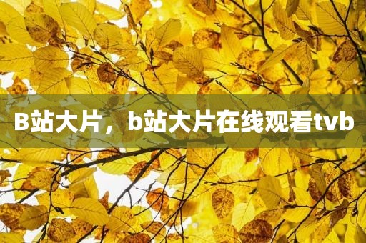 B站大片，b站大片在线观看tvb