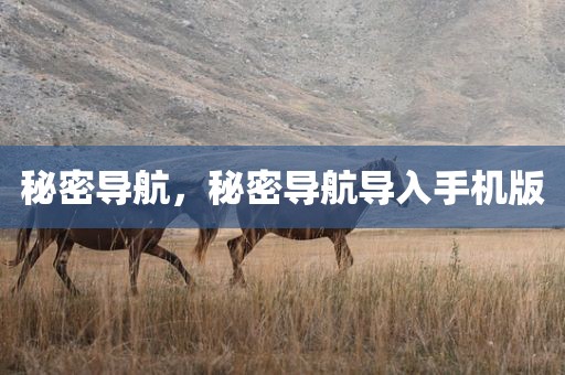 秘密导航，秘密导航导入手机版