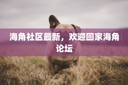 海角社区最新，欢迎回家海角论坛