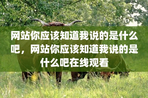 网站你应该知道我说的是什么吧，网站你应该知道我说的是什么吧在线观看