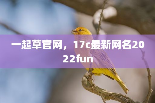 一起草官网，17c最新网名2022fun