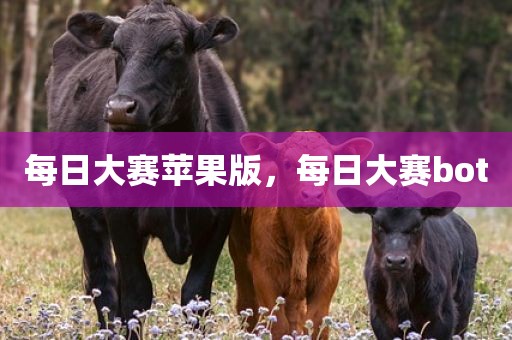 每日大赛苹果版，每日大赛bot