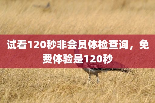 试看120秒非会员体检查询，免费体验是120秒