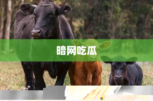 暗网吃瓜