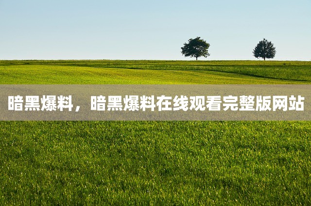 暗黑爆料，暗黑爆料在线观看完整版网站