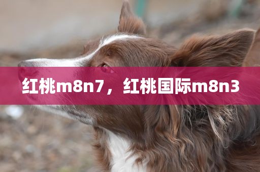 红桃m8n7，红桃国际m8n3