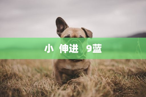 小  伸进   9蓝