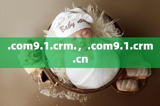 .com9.1.crm.，.com9.1.crm.cn