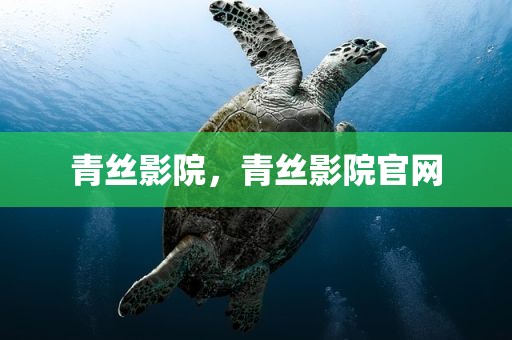 青丝影院，青丝影院官网