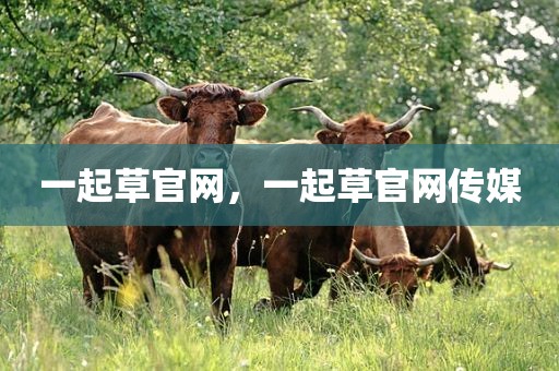 一起草官网，一起草官网传媒