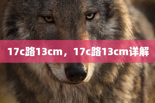 17c路13cm，17c路13cm详解
