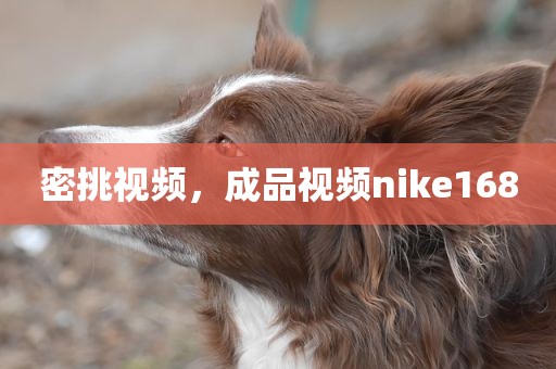 密挑视频，成品视频nike168