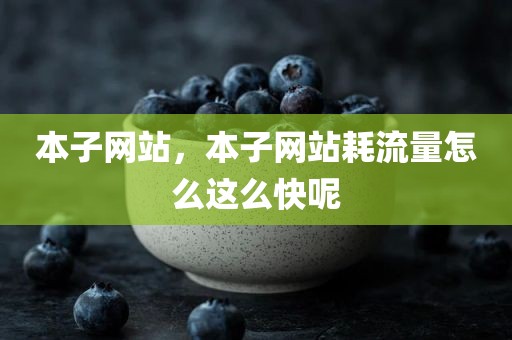 本子网站，本子网站耗流量怎么这么快呢