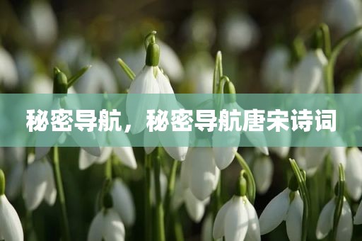 秘密导航，秘密导航唐宋诗词