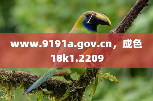 www.9191a.gov.cn，成色18k1.2209