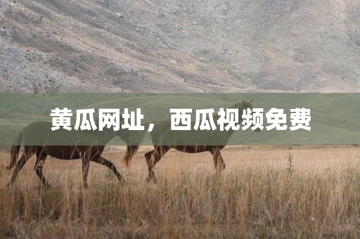 黄瓜网址，西瓜视频免费