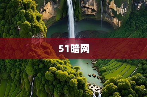 51暗网