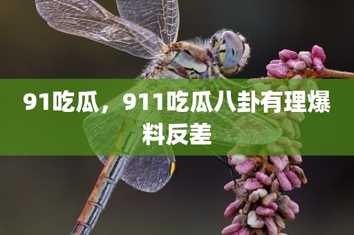 91吃瓜，911吃瓜八卦有理爆料反差