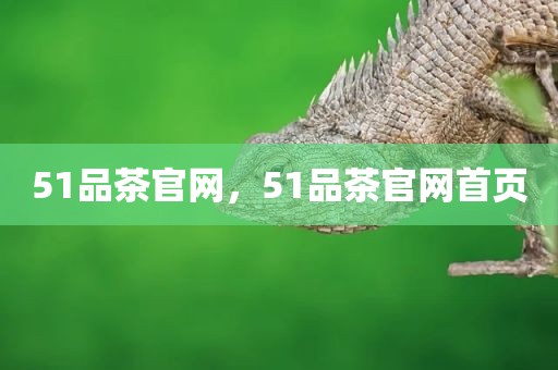 51品茶官网，51品茶官网首页