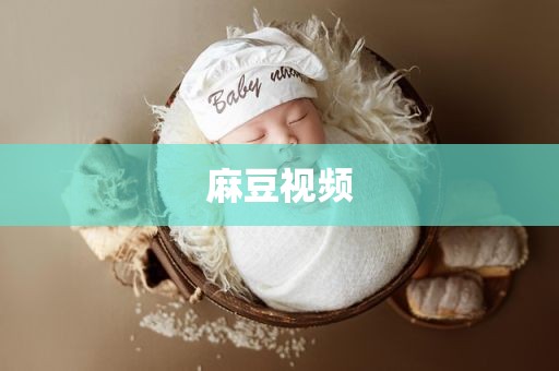 麻豆视频