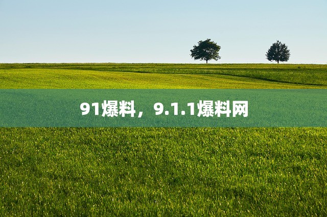 91爆料，9.1.1爆料网