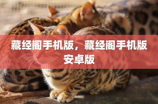 藏经阁手机版，藏经阁手机版安卓版