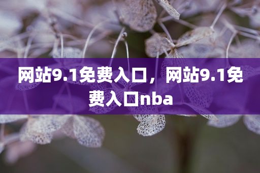 网站9.1免费入口，网站9.1免费入口nba