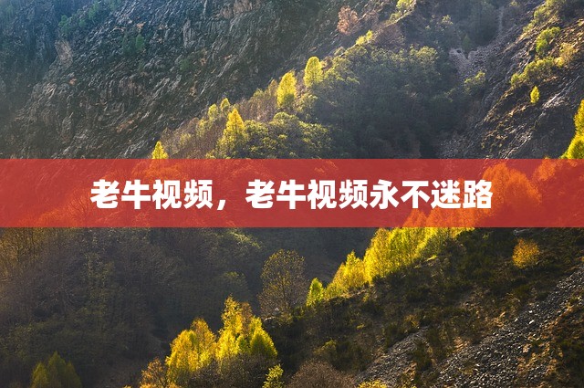 老牛视频，老牛视频永不迷路
