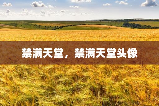 禁满天堂，禁满天堂头像