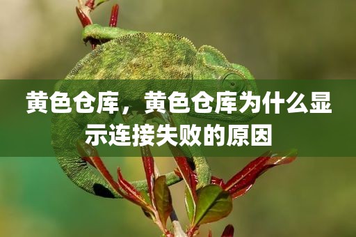 黄色仓库，黄色仓库为什么显示连接失败的原因