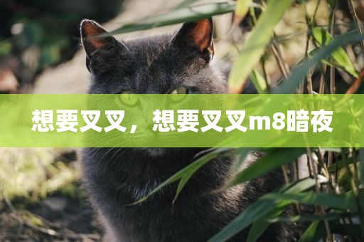 想要叉叉，想要叉叉m8暗夜
