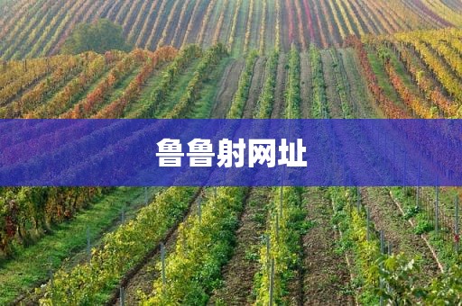 鲁鲁射网址