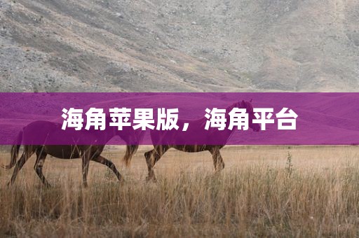 海角苹果版，海角平台