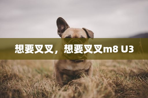 想要叉叉，想要叉叉m8 U3